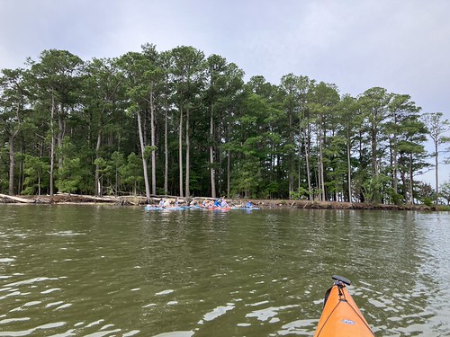 Yoga on paddleboards