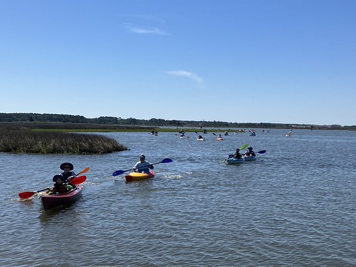 A dozen kayakers on the water