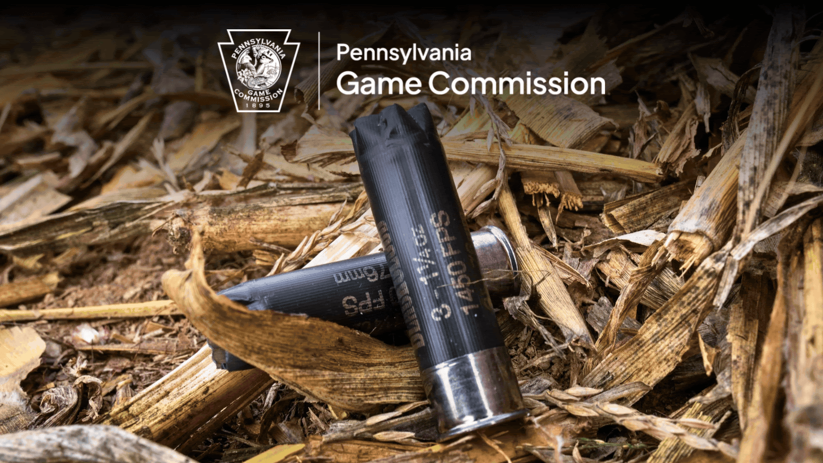 Photos of shotgun shells, a dog retrieving a goose, and a banded dove